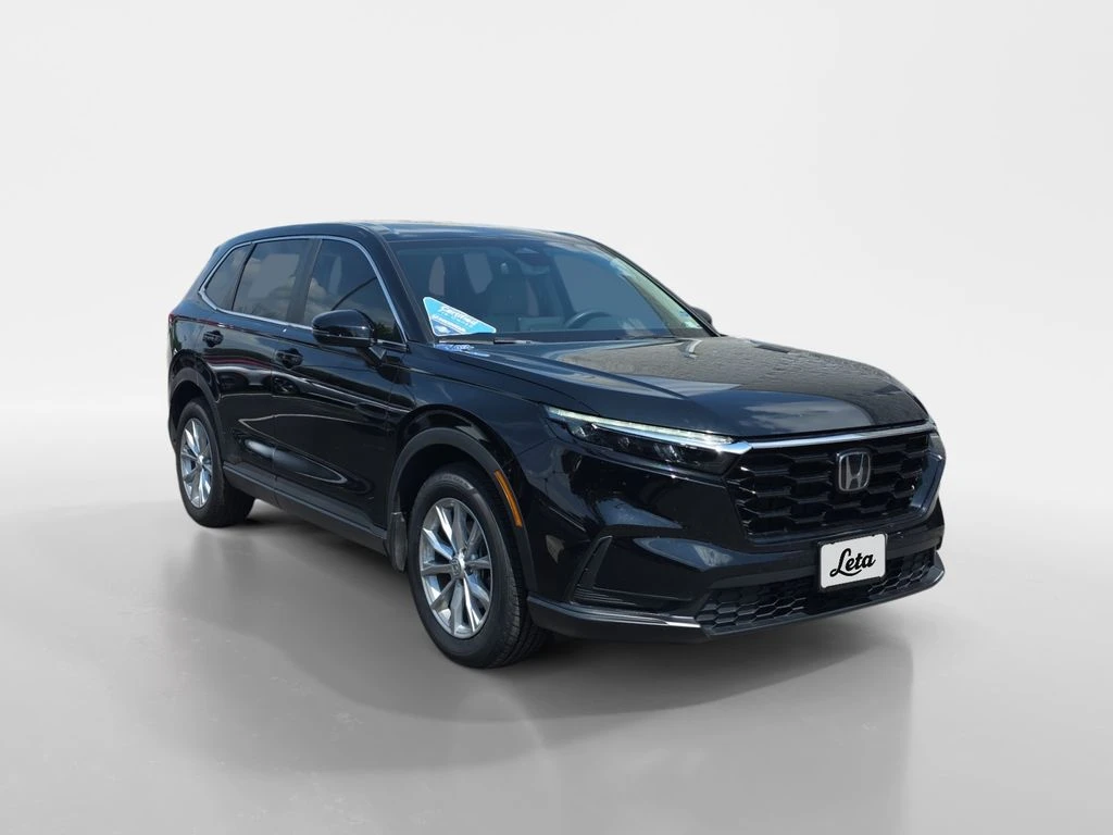 Auto Loan Pro