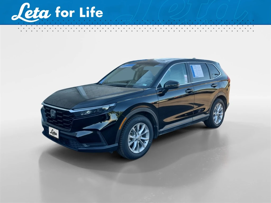 Auto Loan Pro
