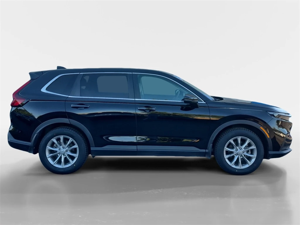 Auto Loan Pro