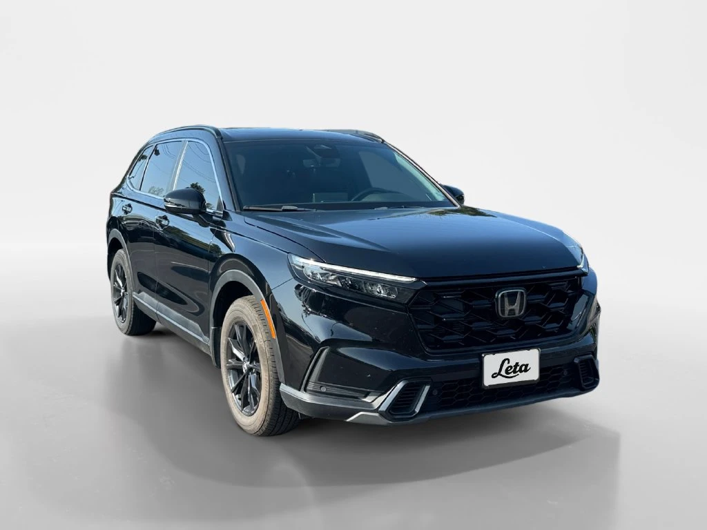 Frank Leta Automotive Outlet