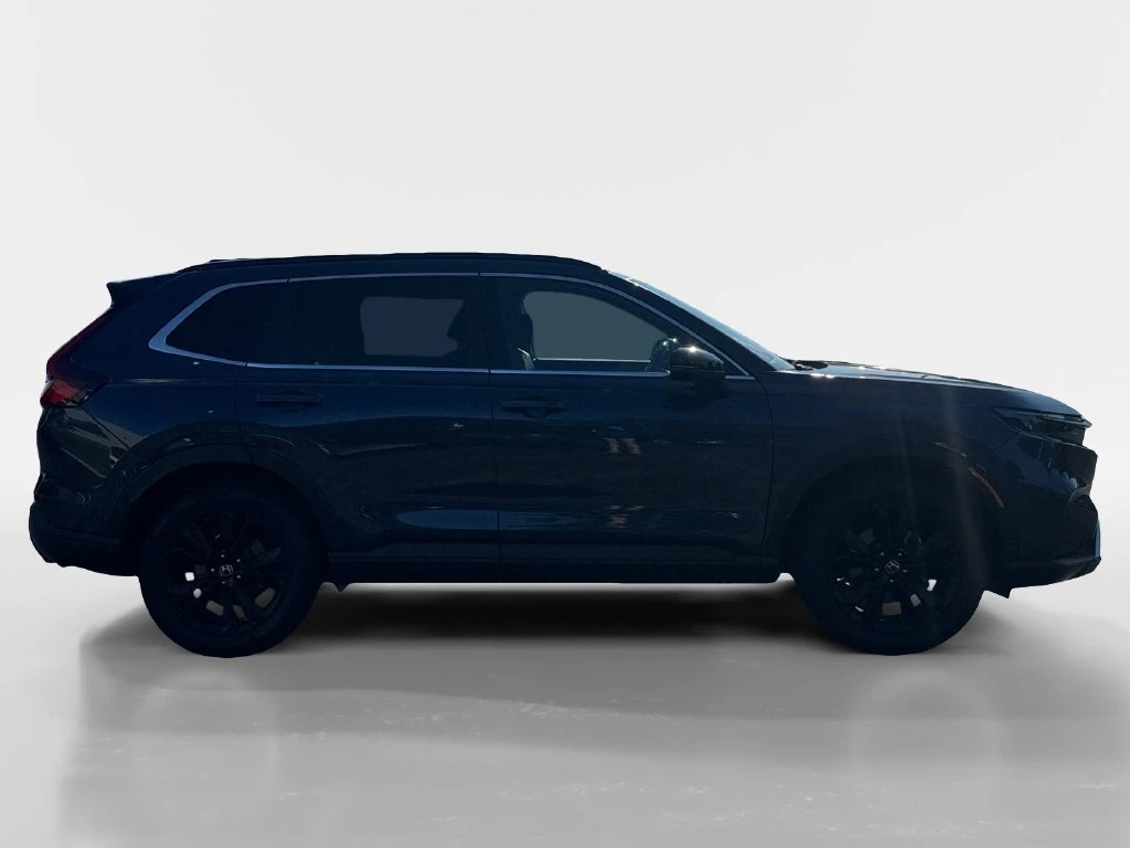 Auto Loan Pro