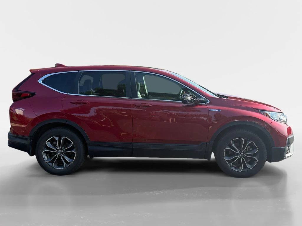 Frank Leta Automotive Outlet