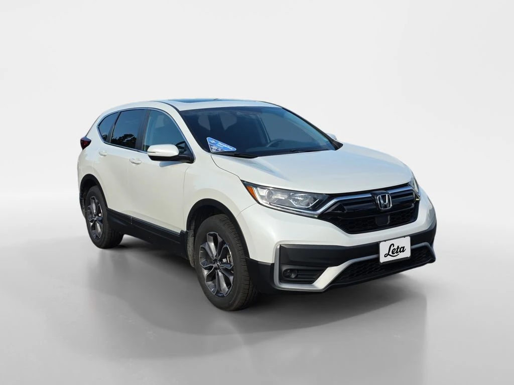 Auto Loan Pro