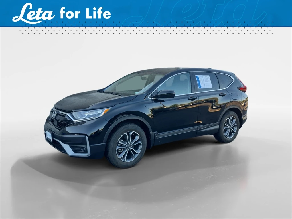 Auto Loan Pro