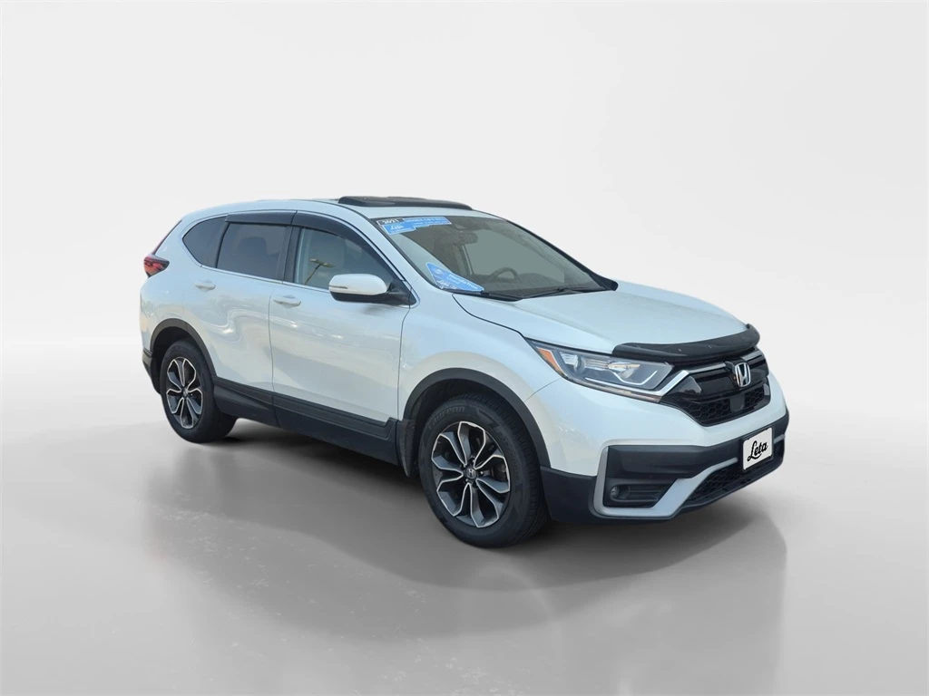 Auto Loan Pro