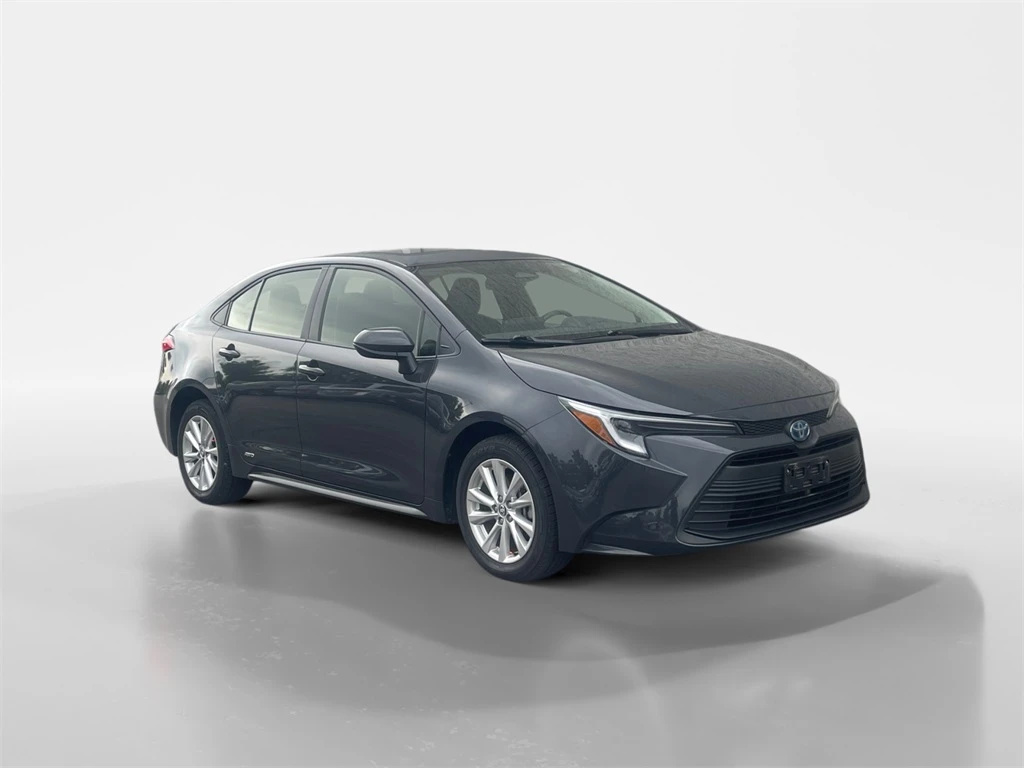 Auto Loan Pro