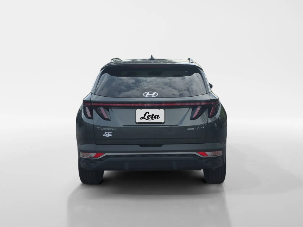 Frank Leta Automotive Outlet