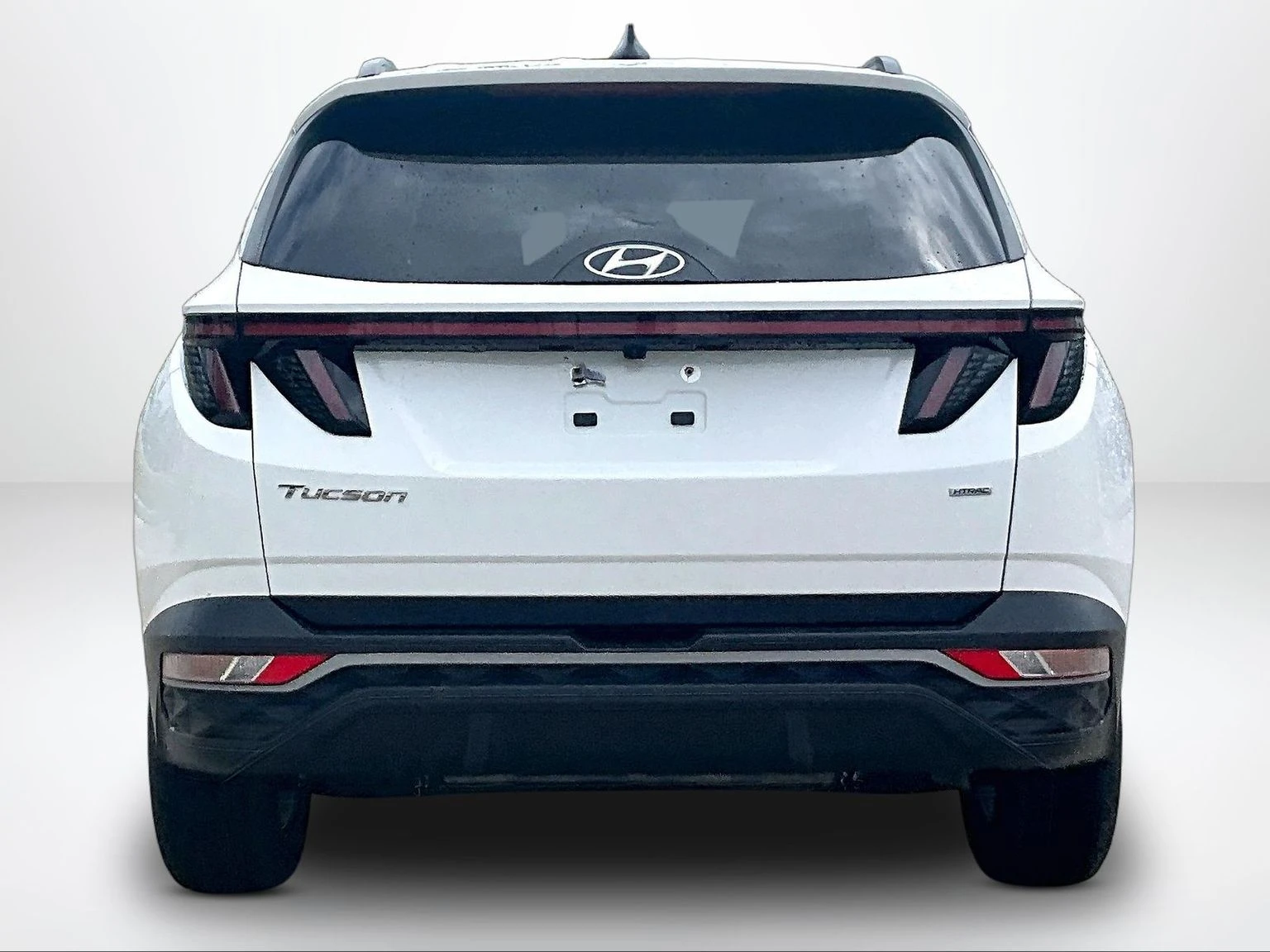 Grote Automotive