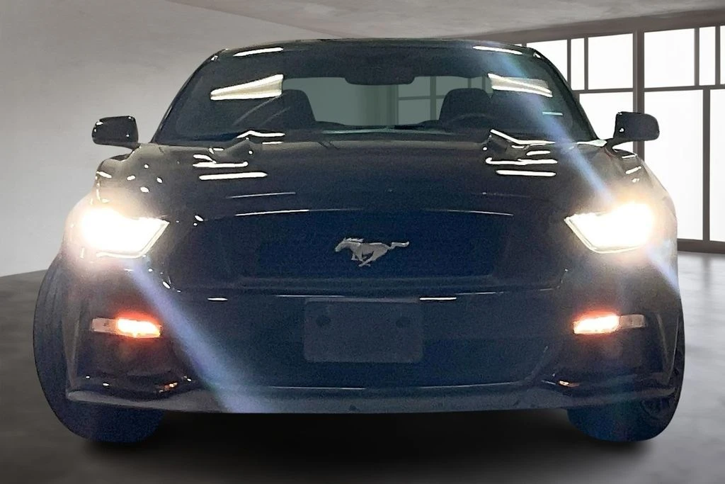 Grote Mitsubishi