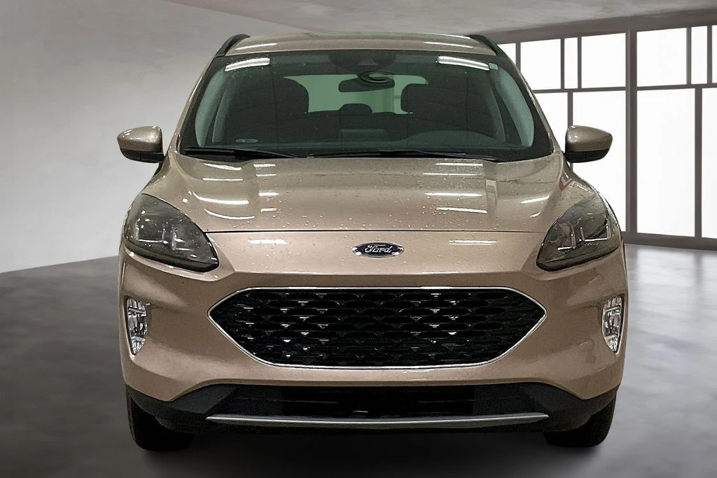 Grote Automotive