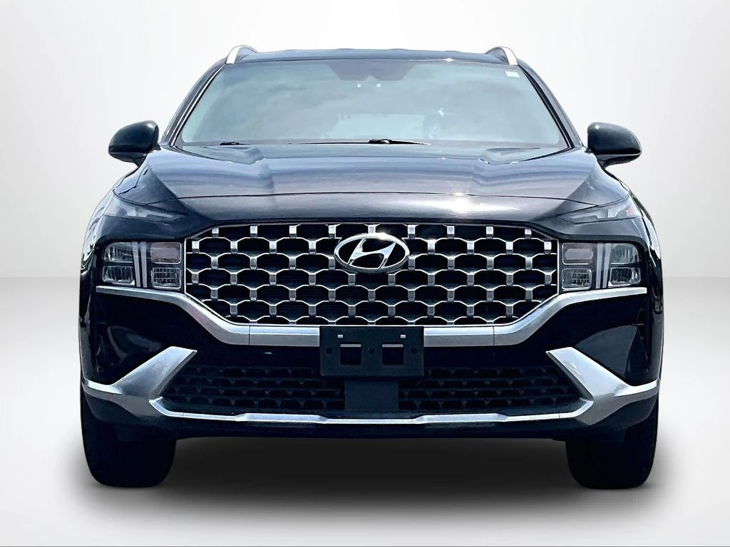 Grote Automotive
